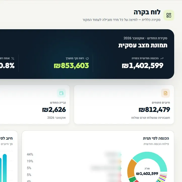 לוח בקרה פיננסי לעסק